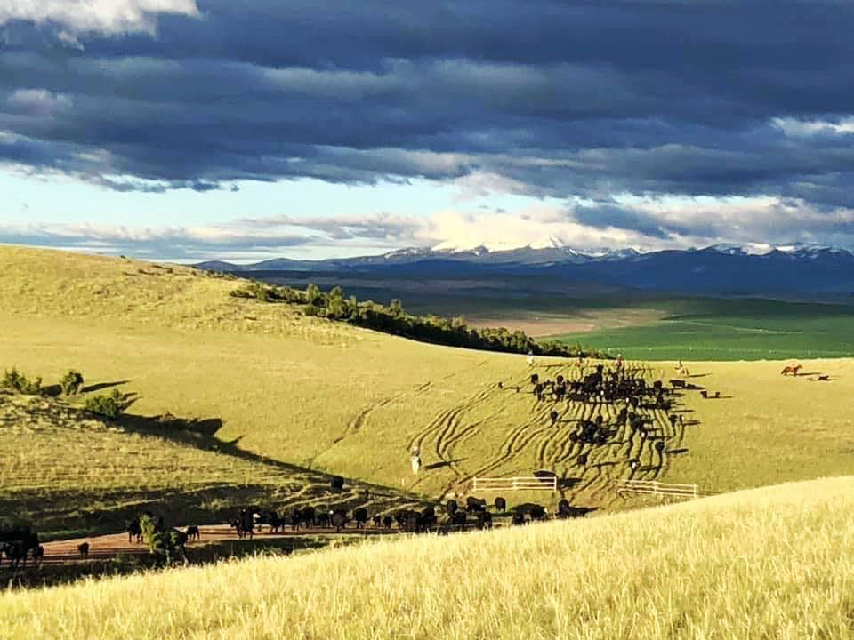 Climbing Arrow Ranch